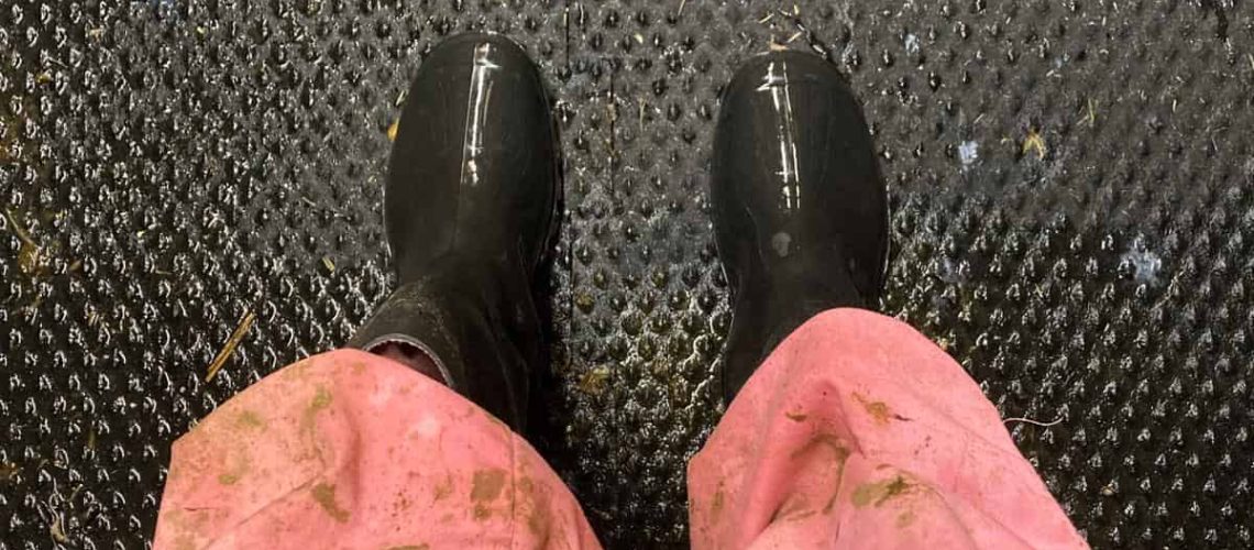 WhatsApp Image 2025-10-11 at 22.09.18